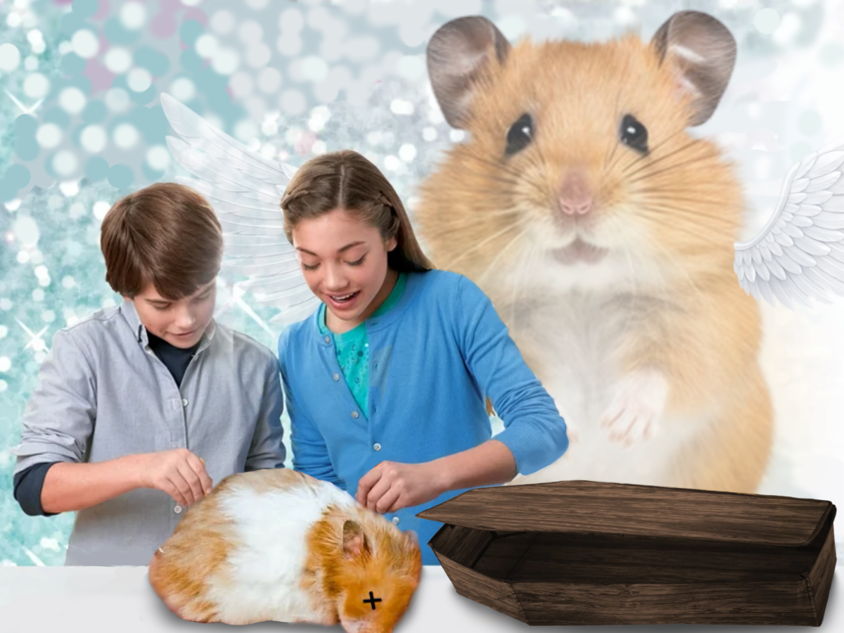 Your Pet Hamster’s Funeral: A Step-by-Step Guide